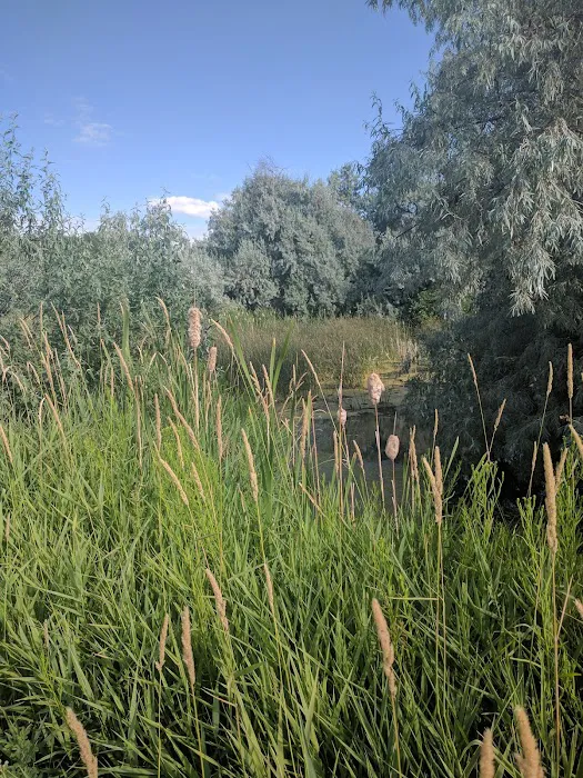 Batise Springs RV Park Picture 7