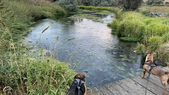 Batise Springs RV Park Picture 3