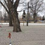 Blackfoot RV Park