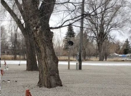 Blackfoot RV Park