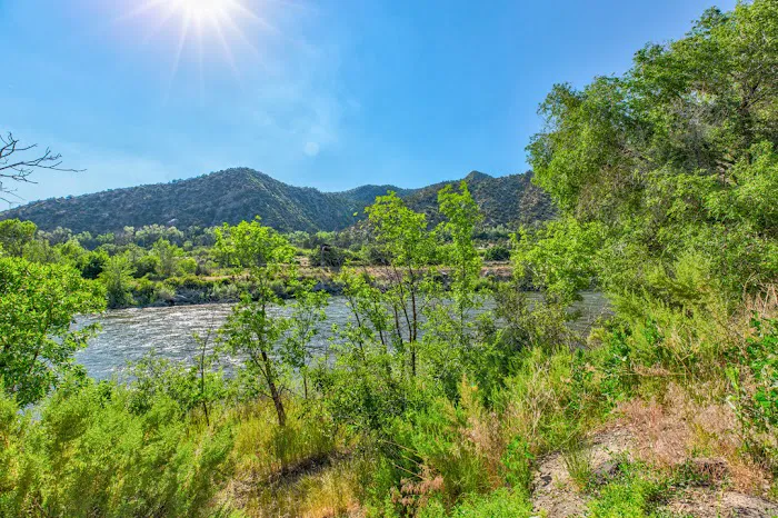 Apple Tree Park Picture 1