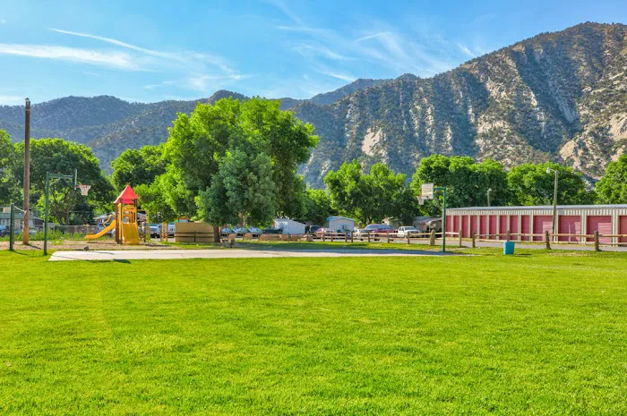 Apple Tree Park Picture 10