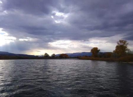 Heron's Nest RV Park & Camp
