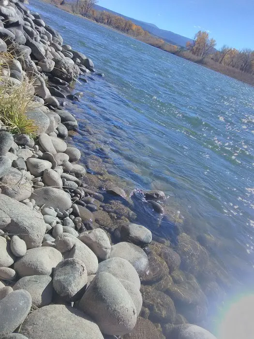 Heron's Nest RV Park & Camp Picture 6