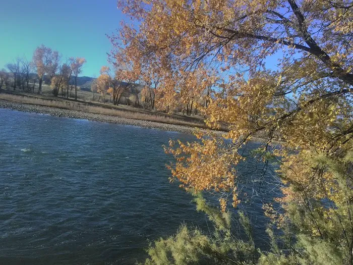 Heron's Nest RV Park & Camp Picture 4