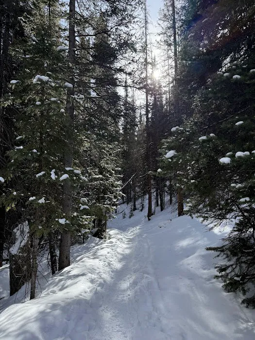 Cottonwood Springs Park Picture 4