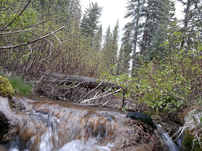 Cottonwood Springs Park Picture 10