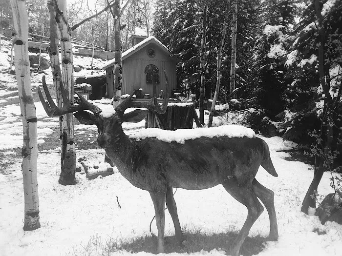 Cottonwood Springs Park Picture 8