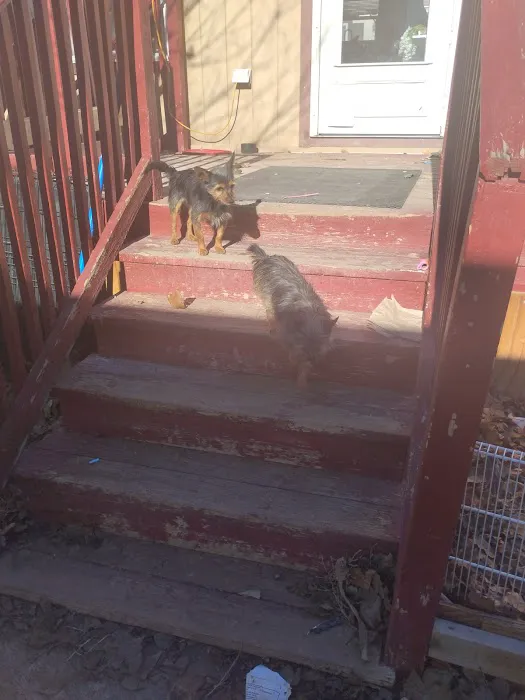 King's Crown Mobile Home Park Picture 3