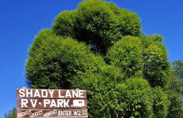 Shady Lane RV Park Picture 7