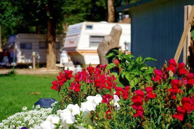 Shady Lane RV Park Picture 5