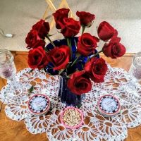 Shady Lane RV Park ico