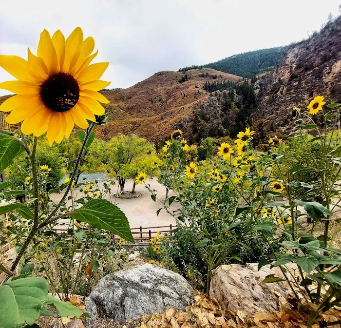 Glenwood Canyon Resort Picture 9