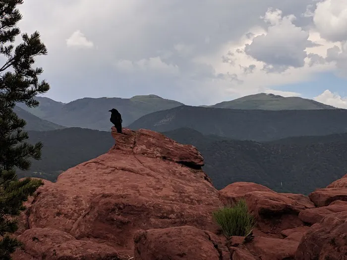 Gateway RV Park Picture 8