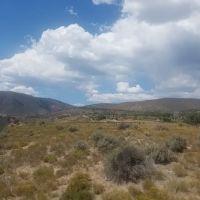 Eagle River Village ico