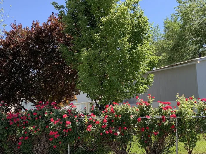 Candlewood Park Picture 7