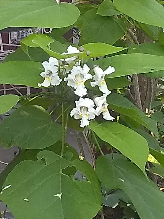 Parkwood Estates Picture 1