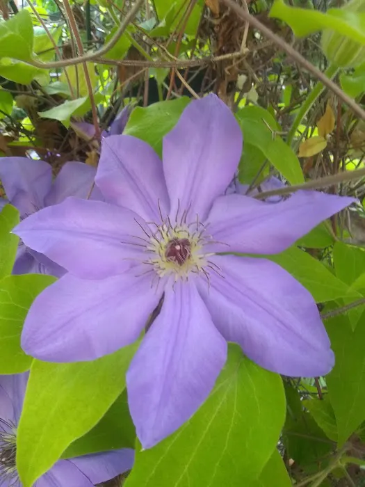 Parkwood Estates Picture 4