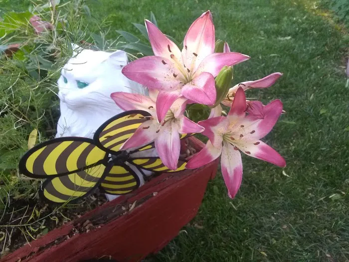 Parkwood Estates Picture 6