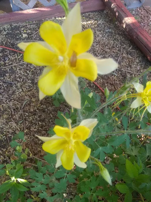 Parkwood Estates Picture 7