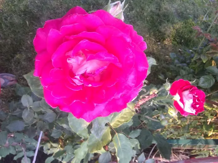 Parkwood Estates Picture 2