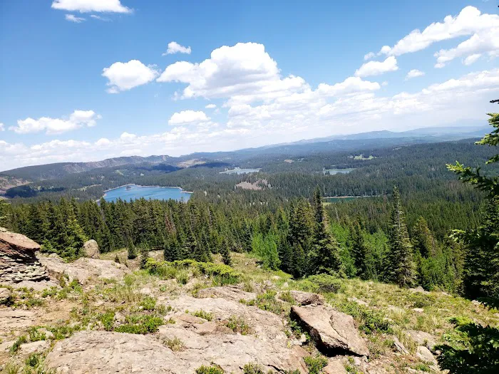 Shady Creek RV Park Picture 6