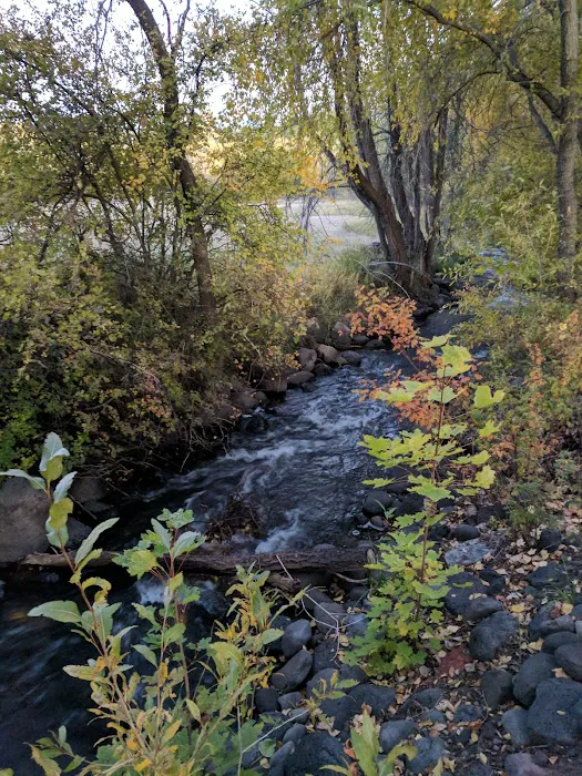 Shady Creek RV Park Picture 9