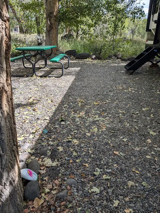 Shady Creek RV Park Picture 2