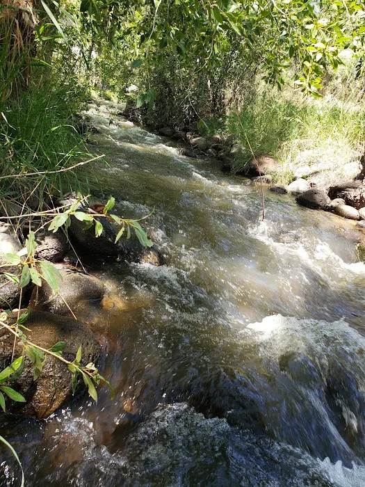 Shady Creek RV Park Picture 8