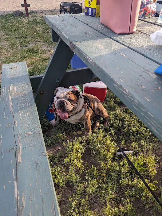 Valley Sunset RV Ranch LLC Picture 2