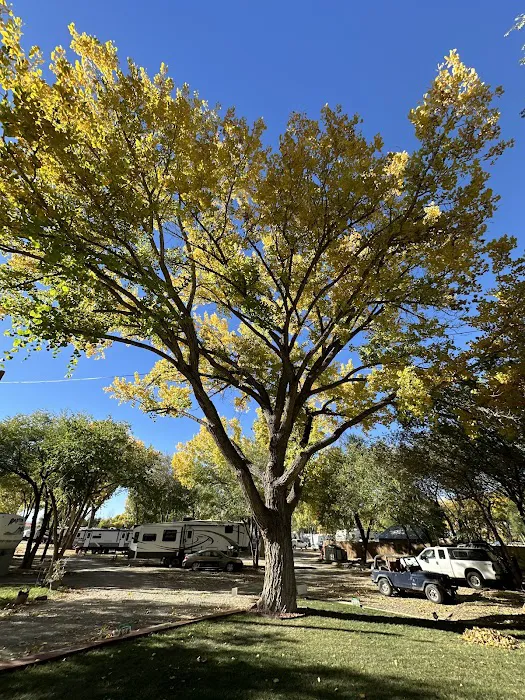 Valley Sunset RV Ranch LLC Picture 10