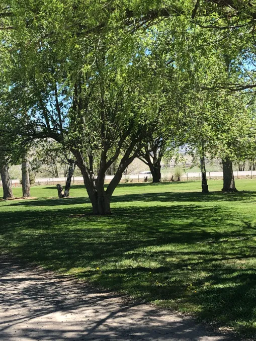 Mountain Valley Meadows RV Picture 8