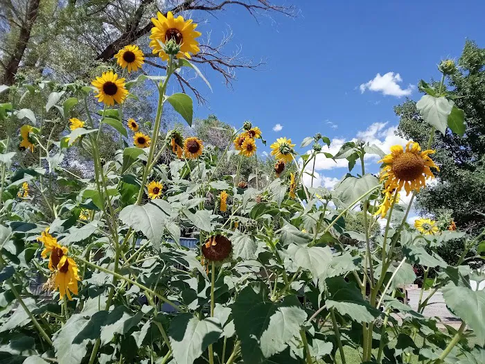 Four Seasons River Inn & RV Park Picture 1