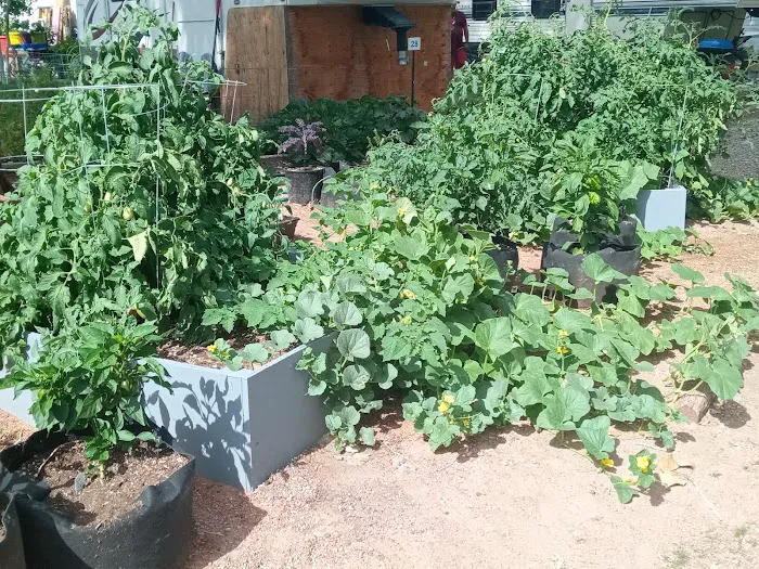 Four Seasons River Inn & RV Park Picture 6