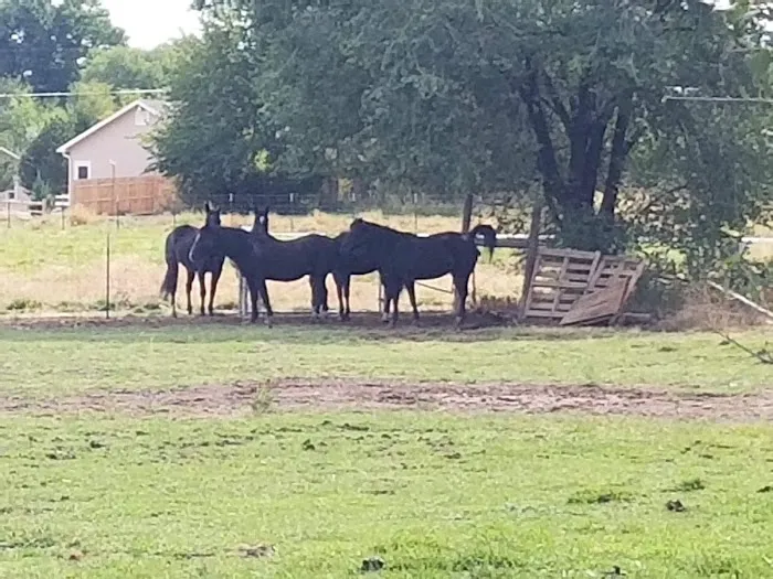 Western Hills Mobile Home Community Picture 4