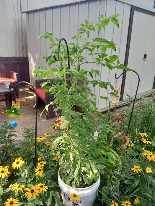 Western Hills Mobile Home Community Picture 7