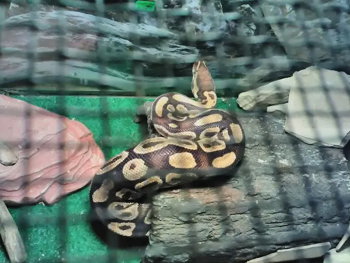 Green Acres Mobile Home Park Picture 5