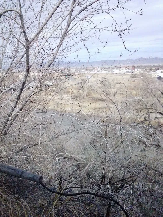 River View Trailer Park Picture 2