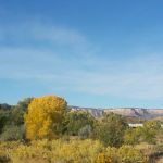 River View Trailer Park