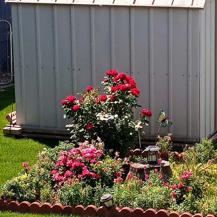 Paradise Valley Park Picture 7