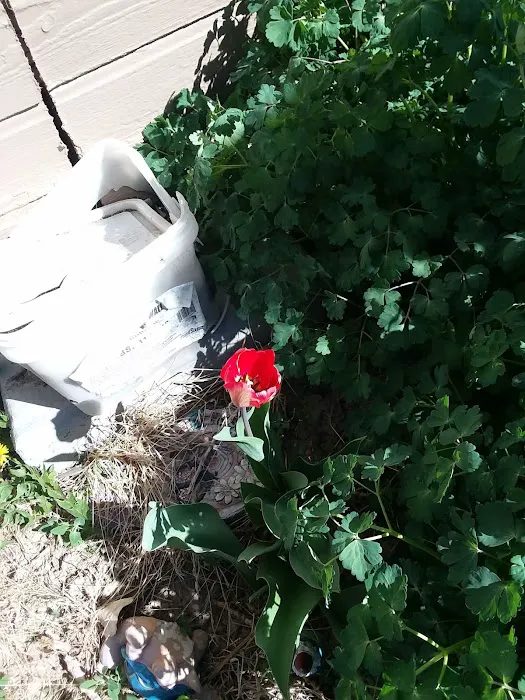 Paradise Valley Park Picture 1