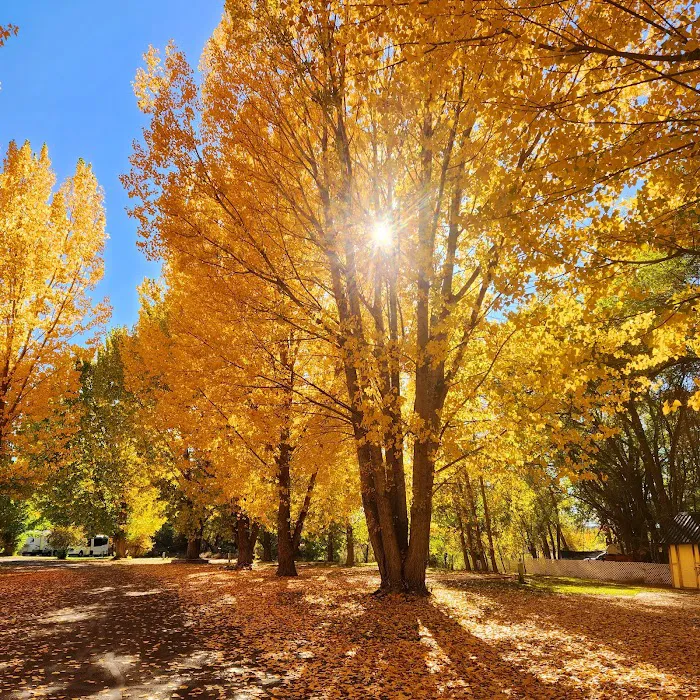 Uncompahgre River RV Park Picture 7