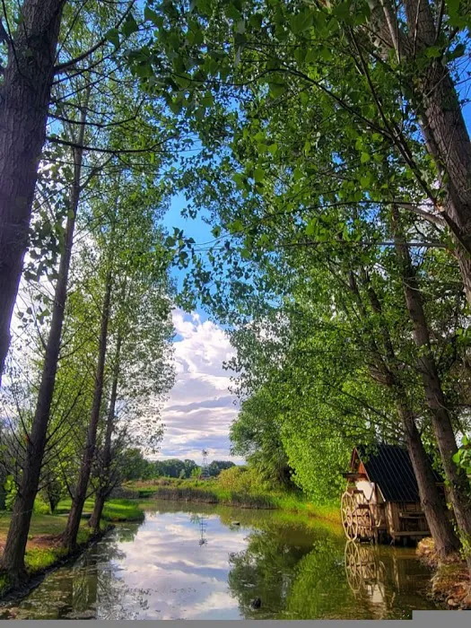 Uncompahgre River RV Park Picture 1