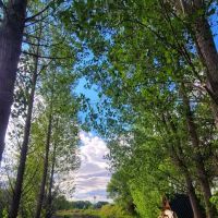 Uncompahgre River RV Park ico