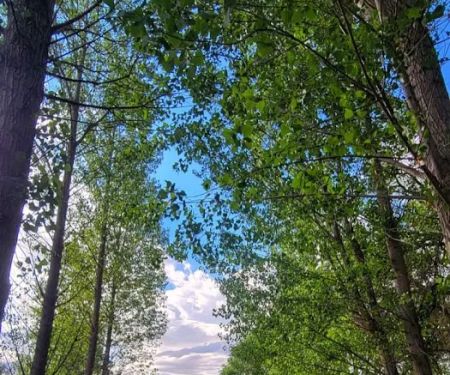 Uncompahgre River RV Park