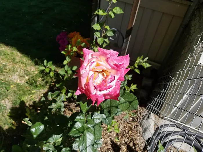 Montrose River Meadows Manufactured Home Community Picture 4