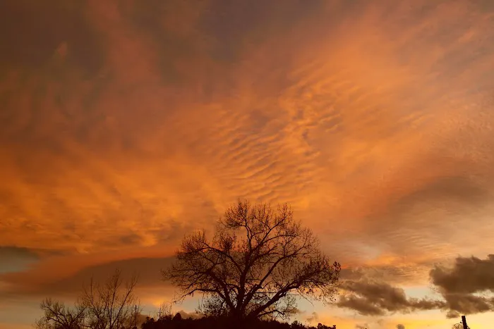 Grateful Flats RV and Campground Picture 2