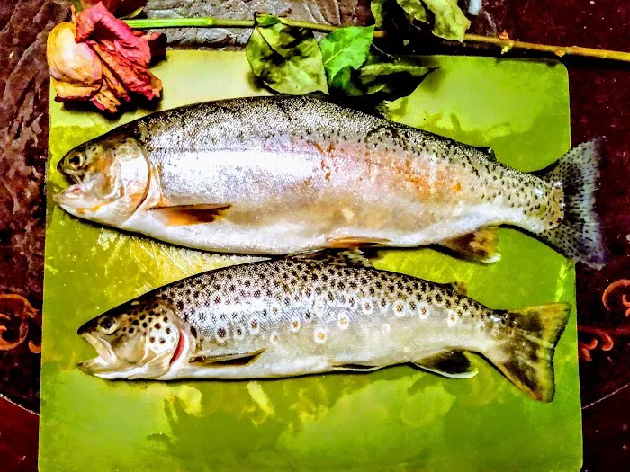 Cottonwood Mobile Home Park Picture 4