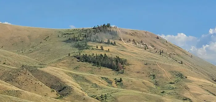 Blue Mesa Point Picture 5