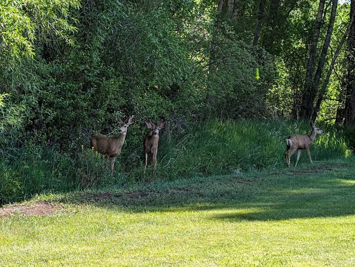 Palisades Senior RV Park Picture 5